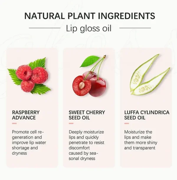 Hydrating Lip Gloss: Berry Flavored, No-Sticky Gloss 0.2 OZ