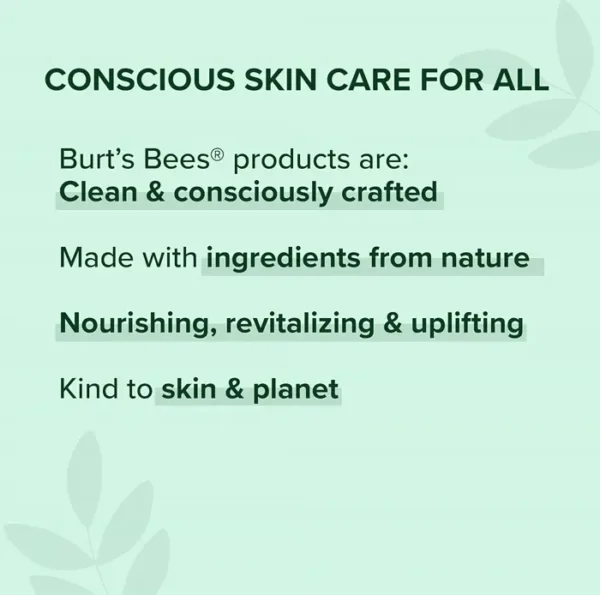 Burt's Bees' Honey & Grapeseed Hand Moisturizer, 2.6 Oz